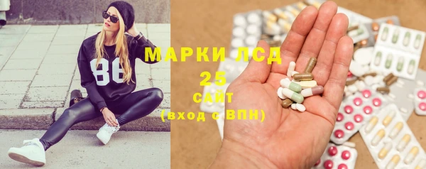прущие грибы Алзамай