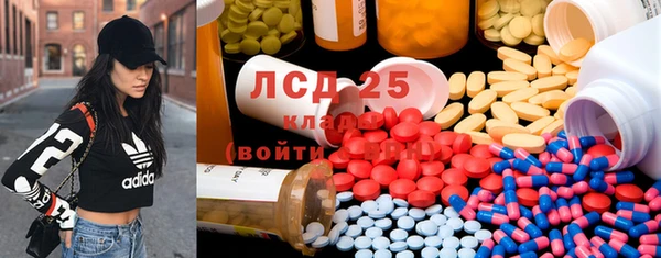 прущие грибы Алзамай