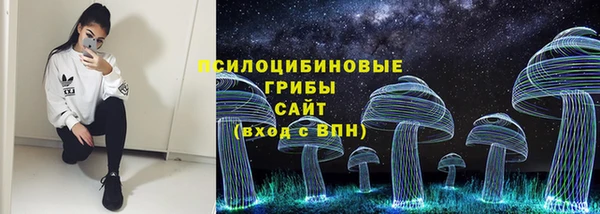 прущие грибы Алзамай