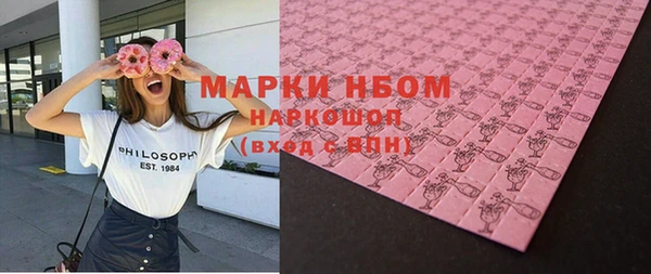 прущие грибы Алзамай