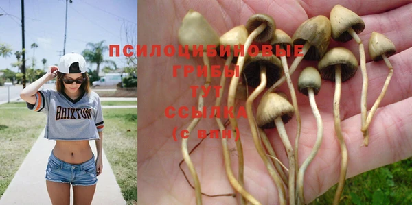 спайс Саяногорск