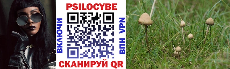 darknet формула  Данков  Галлюциногенные грибы мухоморы 